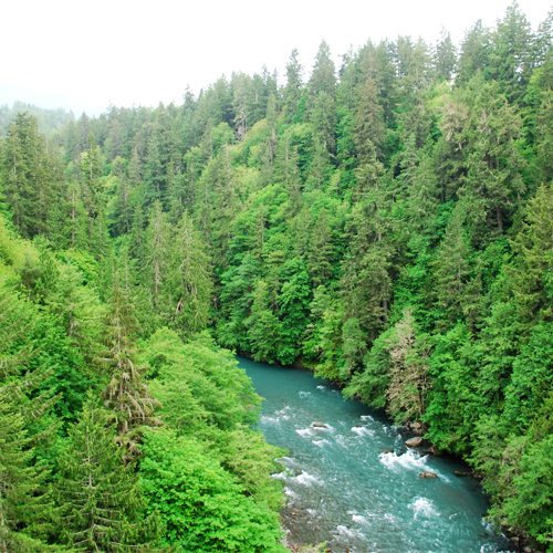 Elwha RV Park
